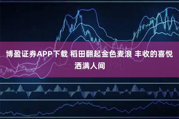 博盈证券APP下载 稻田翻起金色麦浪 丰收的喜悦洒满人间