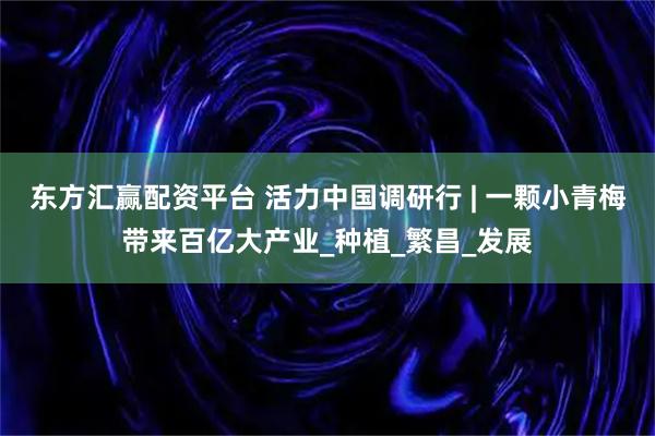 东方汇赢配资平台 活力中国调研行 | 一颗小青梅带来百亿大产业_种植_繁昌_发展
