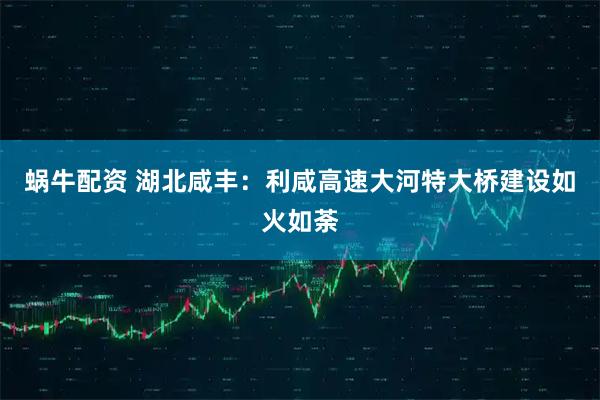 蜗牛配资 湖北咸丰：利咸高速大河特大桥建设如火如荼